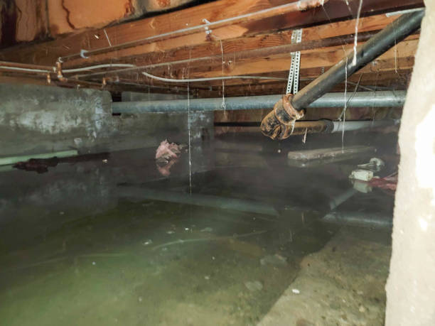 Best Basement water damage restoration  in Centre Grove, NJ