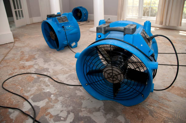 Best 24-hour water damage restoration  in Centre Grove, NJ