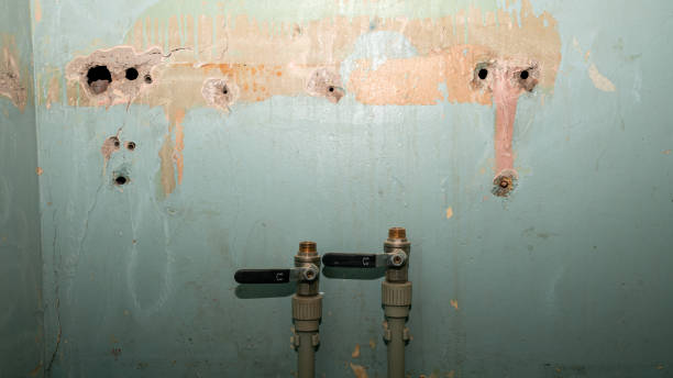 Best Mold removal after water damage  in Centre Grove, NJ