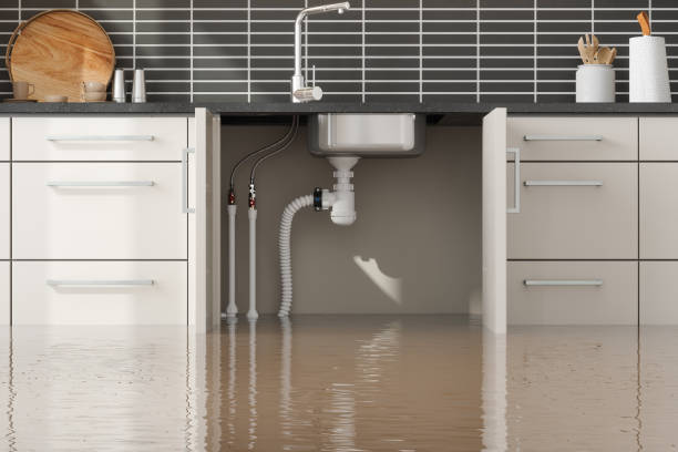 Best Water damage contractors near me  in Centre Grove, NJ