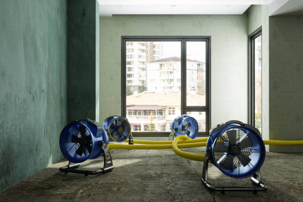 Best Water damage restoration cost  in Centre Grove, NJ